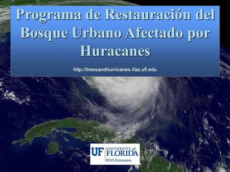 Programa de Restauración del Bosque Urbano Afectado por Huracanes