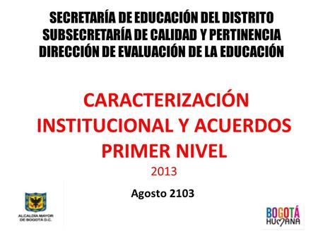 CARACTERIZACIÓN INSTITUCIONAL Y ACUERDOS PRIMER NIVEL