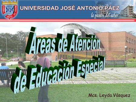 Áreas de Atención de Educación Especial Mcs. Leyda Vásquez.