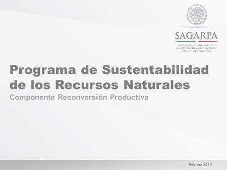Programa de Sustentabilidad de los Recursos Naturales Componente Reconversión Productiva Febrero 2013.