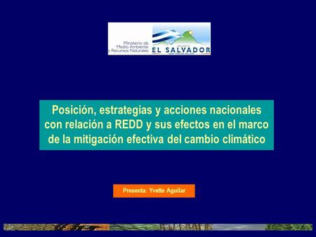 Posición, estrategias y acciones nacionales con relación a REDD y sus efectos en el marco de la mitigación efectiva del cambio climático Presenta: Yvette.