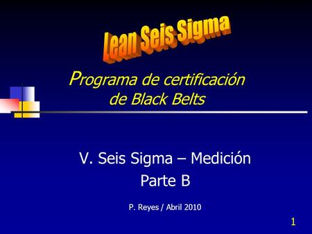 Programa de certificación de Black Belts