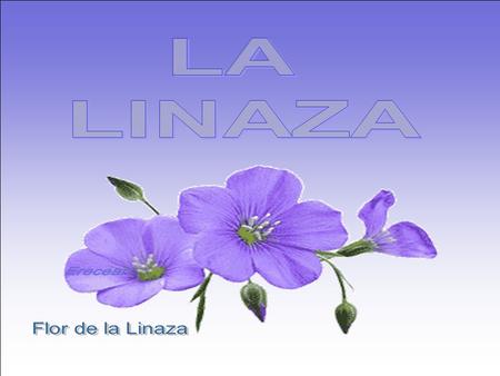 LA LINAZA Ereceart Flor de la Linaza.