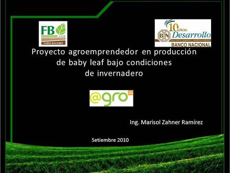 Proyecto agroemprendedor en producción de baby leaf bajo condiciones