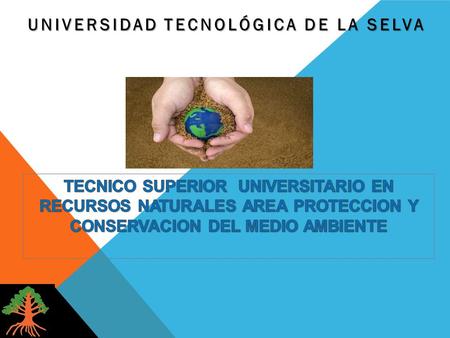 UNIVERSIDAD TECNOLÓGICA DE LA SELVA