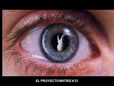 EL PROYECTO MATRIZ # 23 MERCADOS ALIMENTARIOS ARMA DE DESTRUCCIÓN MASIVA II.