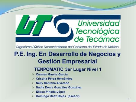 P.E. Ing. En Desarrollo de Negocios y Gestión Empresarial