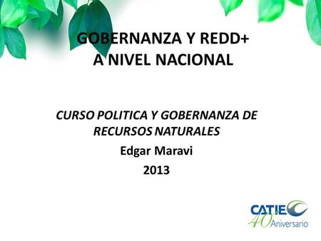 GOBERNANZA Y REDD+ A NIVEL NACIONAL CURSO POLITICA Y GOBERNANZA DE RECURSOS NATURALES Edgar Maravi 2013.