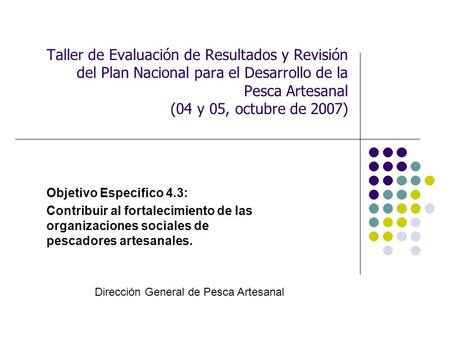 Taller de Evaluación de Resultados y Revisión del Plan Nacional para el Desarrollo de la Pesca Artesanal (04 y 05, octubre de 2007) Objetivo Especifico.