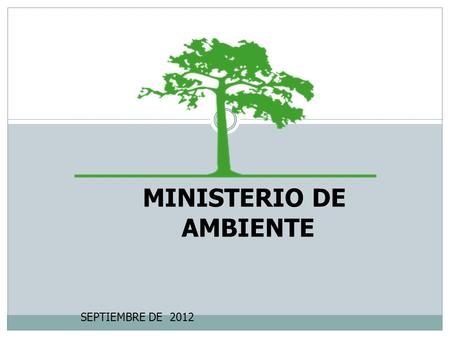MINISTERIO DE AMBIENTE