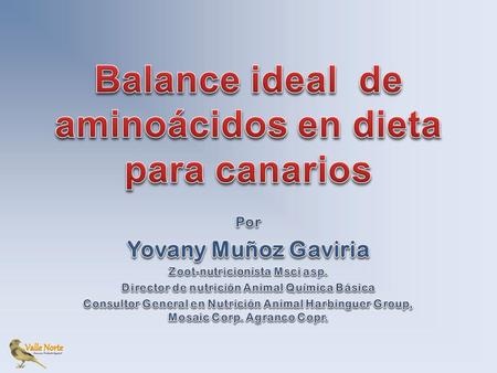 Balance ideal de aminoácidos en dieta para canarios