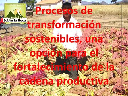 Procesos de transformación sostenibles, una opción para el fortalecimiento de la cadena productiva.