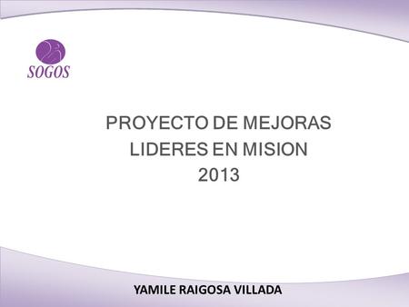 PROYECTO DE MEJORAS LIDERES EN MISION 2013