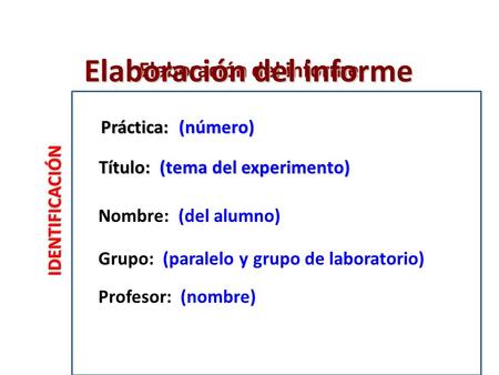 Elaboración del informe Elaboración del informe