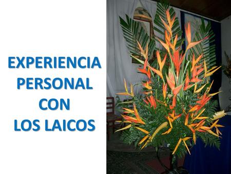 EXPERIENCIA PERSONAL CON LOS LAICOS. Cada hermana de las comunidades muestra una experiencia de alegría por la cercanía, el apoyo, por sus dones y exigencias.