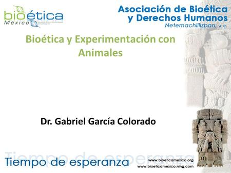Bioética y Experimentación con Animales