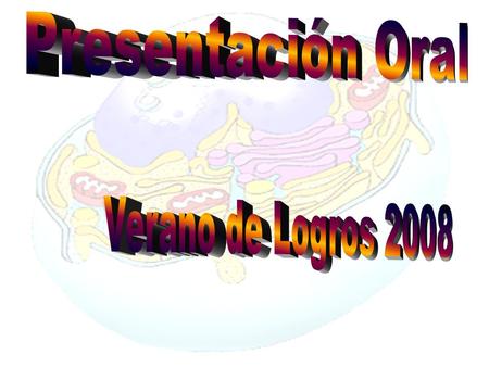 Presentación Oral Verano de Logros 2008.