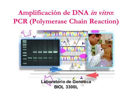 Amplificación de DNA in vitro: PCR (Polymerase Chain Reaction)