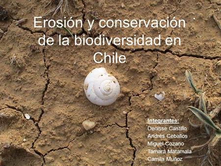 Erosión y conservación de la biodiversidad en Chile