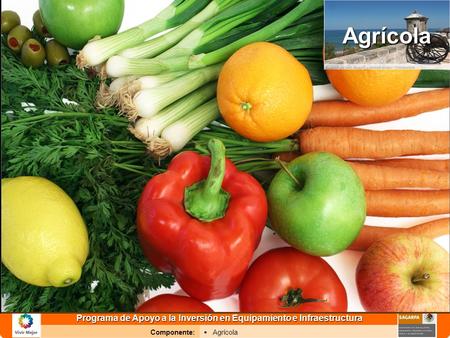 Programa de Apoyo a la Inversión en Equipamiento e Infraestructura Componente: AgrícolaAgrícola.