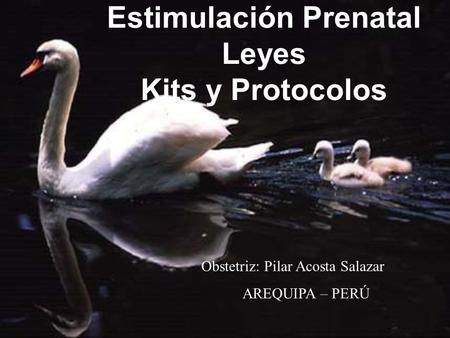 Estimulación Prenatal Leyes Kits y Protocolos