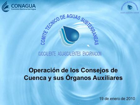 Operación de los Consejos de Cuenca y sus Órganos Auxiliares