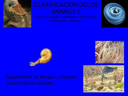 CLASIFICACIÓN DELOS ANIMALES Parte I: Poríferos, Celentéreos, Platelmintos, Nematodos, Anélidos Departamento de Biología y Geología Carmen García González.