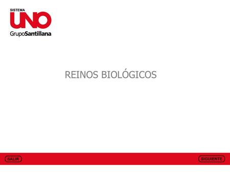 REINOS BIOLÓGICOS.