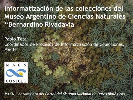 Informatización de las colecciones del Museo Argentino de Ciencias Naturales Bernardino Rivadavia Pablo Teta Coordinador de Procesos de Informatización.