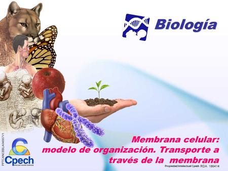 Biología Membrana celular: