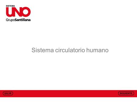 Sistema circulatorio humano