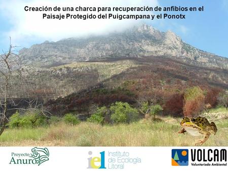 Creación de una charca para recuperación de anfibios en el Paisaje Protegido del Puigcampana y el Ponotx.