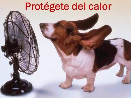 Protégete del calor.
