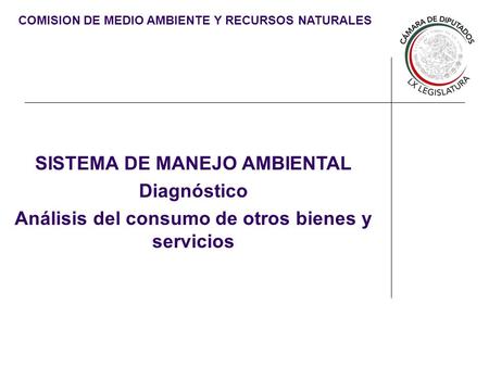COMISION DE MEDIO AMBIENTE Y RECURSOS NATURALES SISTEMA DE MANEJO AMBIENTAL Diagnóstico Análisis del consumo de otros bienes y servicios.