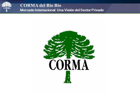 CORMA del Bio Bio Mercado Internacional: Una Visión del Sector Privado.