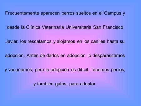 Frecuentemente aparecen perros sueltos en el Campus y desde la Clínica Veterinaria Universitaria San Francisco Javier, los rescatamos y alojamos en los.