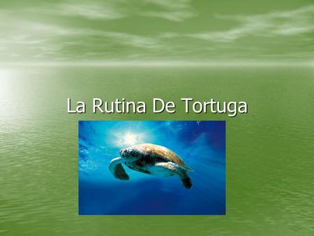 La Rutina De Tortuga.