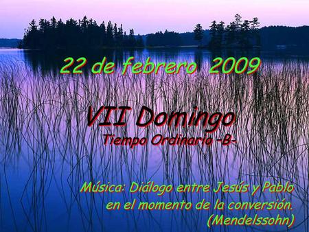 22 de febrero  2009 VII Domingo Tiempo Ordinario –B-