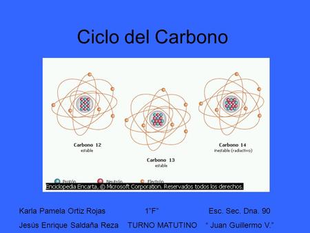 Ciclo del Carbono Karla Pamela Ortiz Rojas 1”F” Esc. Sec. Dna. 90
