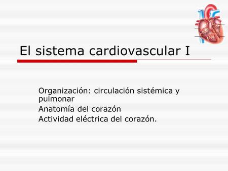 El sistema cardiovascular I