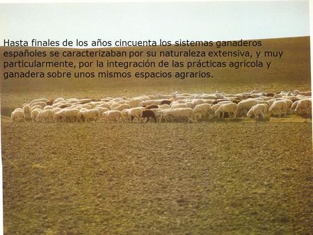 Hasta finales de los años cincuenta los sistemas ganaderos españoles se caracterizaban por su naturaleza extensiva, y muy particularmente, por la integración.