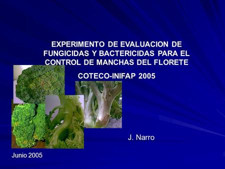 EXPERIMENTO DE EVALUACION DE FUNGICIDAS Y BACTERICIDAS PARA EL CONTROL DE MANCHAS DEL FLORETE COTECO-INIFAP 2005 J. Narro Junio 2005.