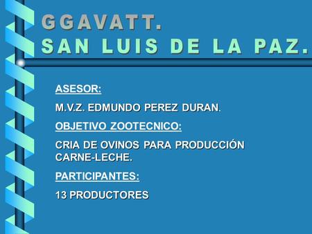 GGAVATT. SAN LUIS DE LA PAZ. ASESOR: M.V.Z. EDMUNDO PEREZ DURAN.