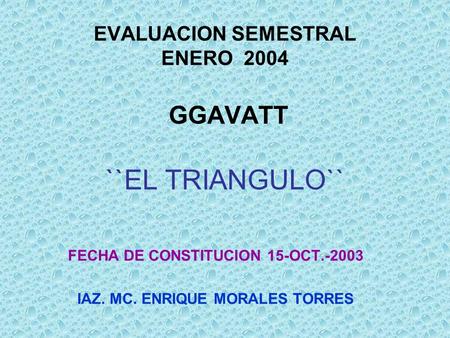 EVALUACION SEMESTRAL ENERO 2004 GGAVATT ``EL TRIANGULO`` FECHA DE CONSTITUCION 15-OCT.-2003 IAZ. MC. ENRIQUE MORALES TORRES.