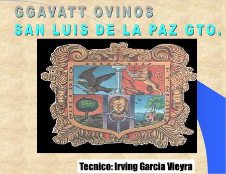 Tecnico: Irving Garcia Vieyra INICIO DE ACTIVIDADES DEL TECNICO: JUNIO DEL 2005 PARTICIPANTES: 12 PRODUCTORES FECHA DE INICIO: SEPTIEMBRE DE 2003 ACTA.