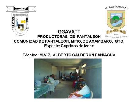 GGAVATT PRODUCTORAS DE PANTALEON COMUNIDAD DE PANTALEON, MPIO