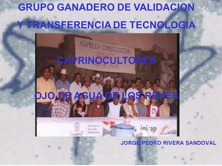 GRUPO GANADERO DE VALIDACION Y TRANSFERENCIA DE TECNOLOGIA CAPRINOCULTORES OJO DE AGUA DE LOS REYES JORGE PEDRO RIVERA SANDOVAL.