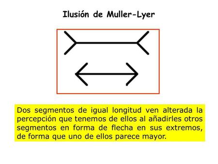 Ilusión de Muller-Lyer