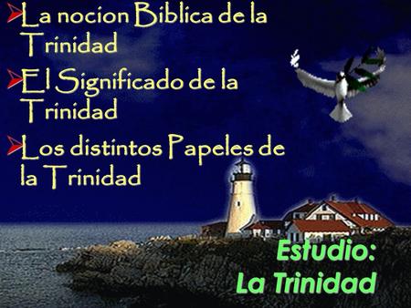 Estudio: La Trinidad La nocion Biblica de la Trinidad