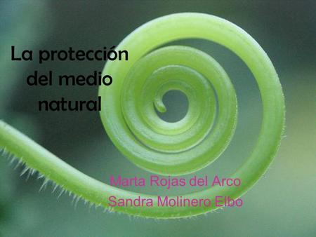 La protección del medio natural
